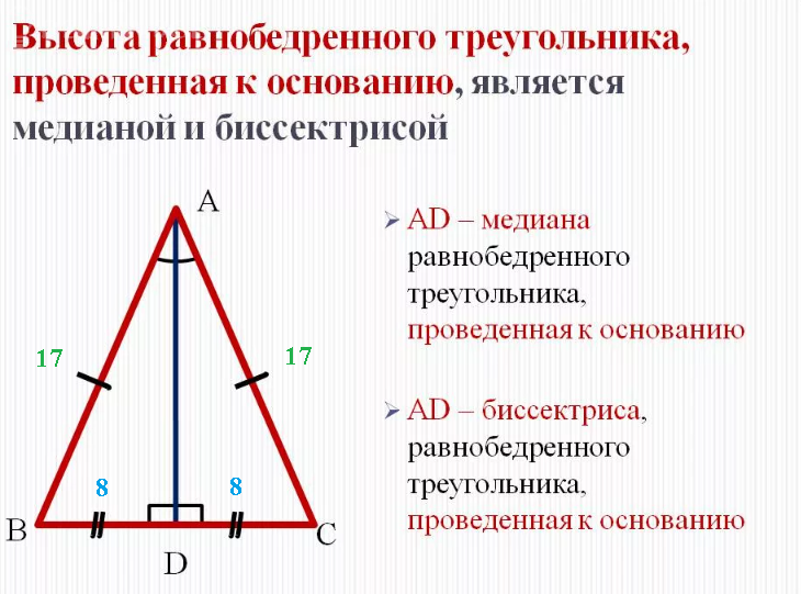Боковые стороны равнобедренного треугольника 136. Высота в равнобедренном треугольнике. Алгоритм построения равнобедренного треугольника. Основание равнобедренного треугольника. Катет равнобедренного треугольника.