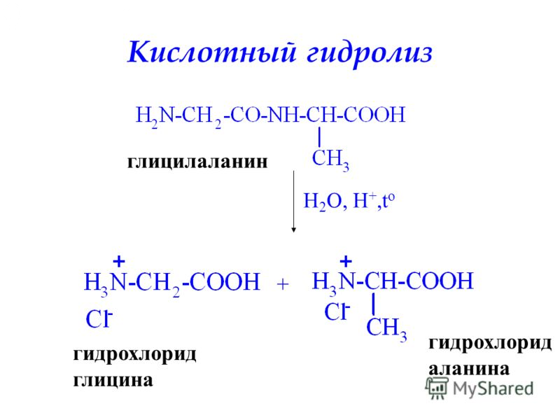 Глицилаланин гидролиз щелочной. Кислотный гидролиз аминокислот. Глицил аланин кислотный гидролиз. Кислотный гидролиз пептидов. Кислотный гидролиз это