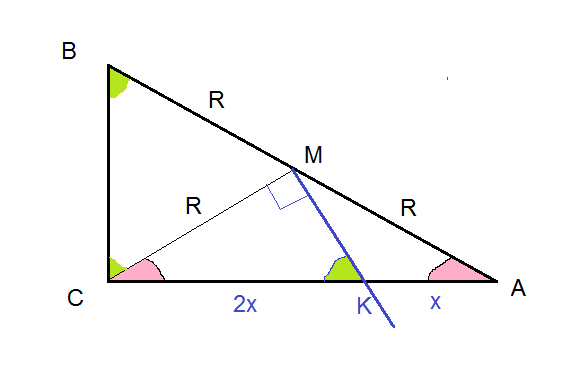 Где находится середина треугольника. Середина треугольника. Рисунок прямоугольного треугольника с катетами и гипотенузой. Золотая середина треугольника. Треугольник прямоугольный АВ =26.