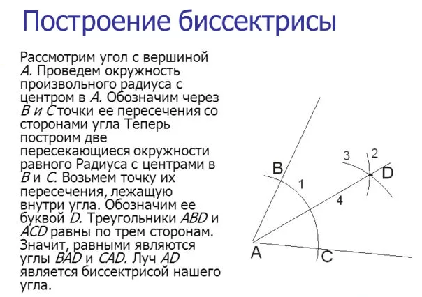 На биссектрису угла а взята точка. Построение биссектрисы с помощью циркуля. Построение циркулем и линейкой биссектрисы треугольника. Построение биссектрисы угла. Как строить биссектрису угла.